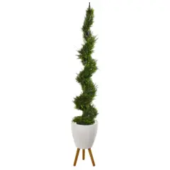 6.2ft. Cypress Artificial Spiral Tree in White Planter with Stand