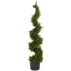 4ft. Potted Cypress Spiral Tree
