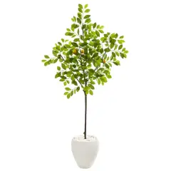 5.5ft. Lemon Tree in White Planter