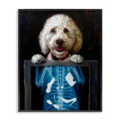 Stupell Industries Funny Dog X-Ray Snacks Framed Giclee Art Black