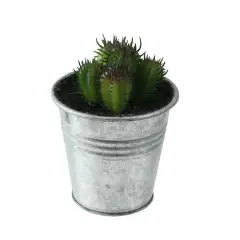 3.5" Green Mini Cactus Plants in Tin Pot