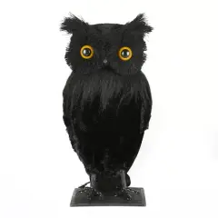 11'' Eerie Eyes Owl Halloween D&eacute;cor