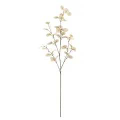 Cream Seed Eucalyptus Stem by Ashland&reg;