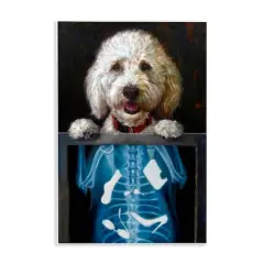 Stupell Industries Funny Dog X-Ray Snacks Wall Plaque Art