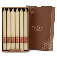 Root Candles 9" Unscented Timberline&trade; Arista&trade; Taper Candles, 12ct. Buttercream