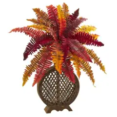 2.5ft. Autumn Boston Fern in Weave Planter