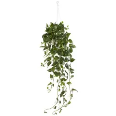 3.5ft. Green Pothos Hanging Basket