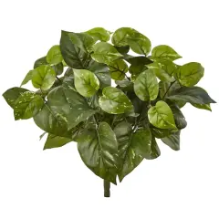 16" Pothos Bush, 6ct.