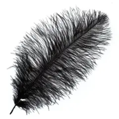 John Bead 11"-13" Ostrich Drab Feather Black