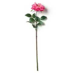 Garden Bloom Orlane Rose Stem Ashland&trade; Pink