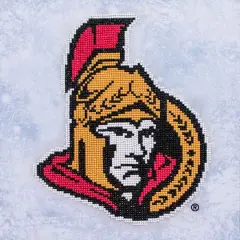 Camelot&reg; Dots NHL Ottawa Senators Diamond Painting Kit