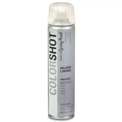 COLORSHOT&reg; Premium Metallic Spray Paint Silver Lining
