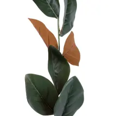 6ft. Magnolia Leaf Garland by Ashland&reg;