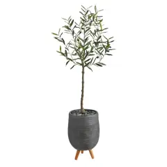 4.5ft. Olive Tree in Gray Planter with Stand