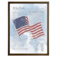 24" Flag Constitution Framed Print Brown Frame