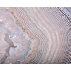 Wall Rogues Amethyst Wall Mural