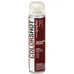 COLORSHOT&reg; Premium Gloss Spray Paint Brownie Points
