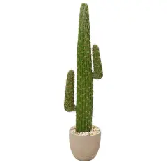 4.6ft. Cactus Artificial Plant in Sandstone Planter