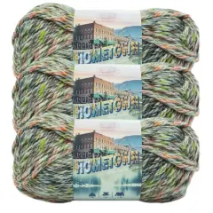 3 Pack Lion Brand&reg; Hometown Variegates Yarn Durham Woods