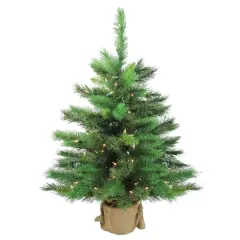 3ft. Pre-Lit New Carolina Spruce Artificial Potted Christmas Tree, Clear Lights