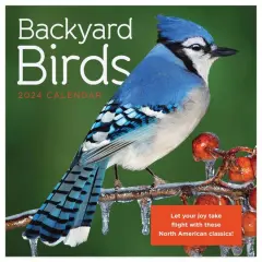 TF Publishing 2024 Backyard Birds Mini Calendar