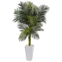 5ft. Potted Golden Cane Palm Tree in Decorative Planter