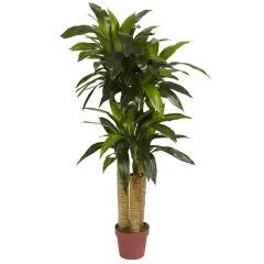 4ft. Corn Stalk Dracaena Silk Plant