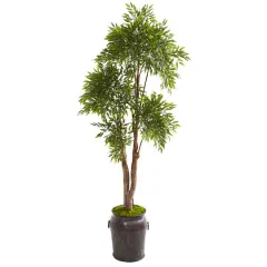 7ft. Ruscus Tree in Planter