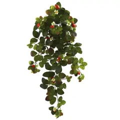 31&rdquo; Strawberry Hanging Bush, 2ct.