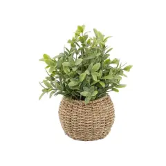 Flora Bunda&reg; 11.7" Tea Leaf Plant in Basket