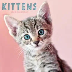 TF Publishing 2024 Kittens Wall Calendar