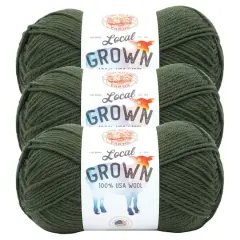 3 Pack Lion Brand&reg; Local Grown Yarn Moss