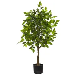 3.25ft. Potted Ficus Tree