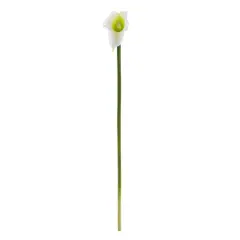 White Calla Lily Stem, 12ct.