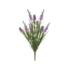 Lavender Star Flower & Grass Bush