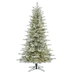 7.5ft. Pre-Lit Frosted Eastern Fraser Fir Artificial Christmas Tree, Warm White LED Lights