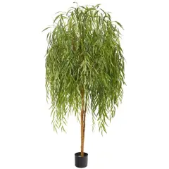 7ft. Potted Willow Tree