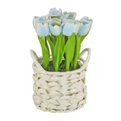 10" Tulip Bouquet in White Basket Blue