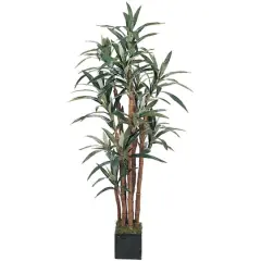 5ft. Potted Yucca Tree