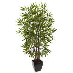 5ft. Potted Bamboo Silk Tree