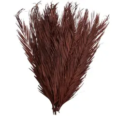 43" Natural Dried Plant Palm Leaf Bunch with Feather-Inspired Stems Dark Brown