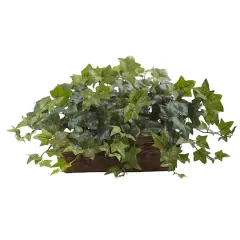 12.5" Puff Ivy in Ledge Basket