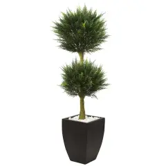 4.5ft. Cypress Topiary in Black Planter
