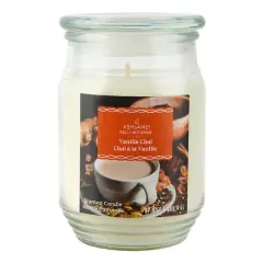 17oz. Fall Scented Jar Candle by Ashland&reg; Vanilla Chai