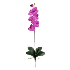 Pink Moth Orchid Stem, 12ct.