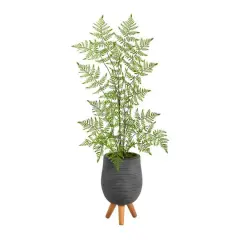 3ft. Ruffle Fern Tree in Gray Planter with Stand