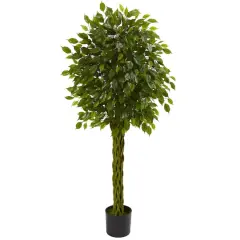 5ft. Potted Woven Trunk Ficus Tree
