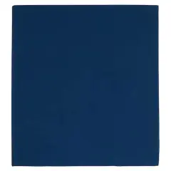 Navy Blue Magnetic Photo Album by Recollections&trade;