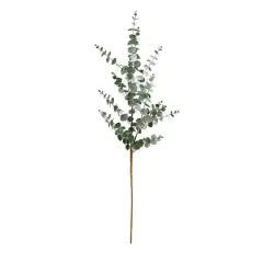 40" Green Eucalyptus Stems, 3ct.