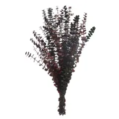 Dried Eucalyptus Bundle by Ashland&reg;